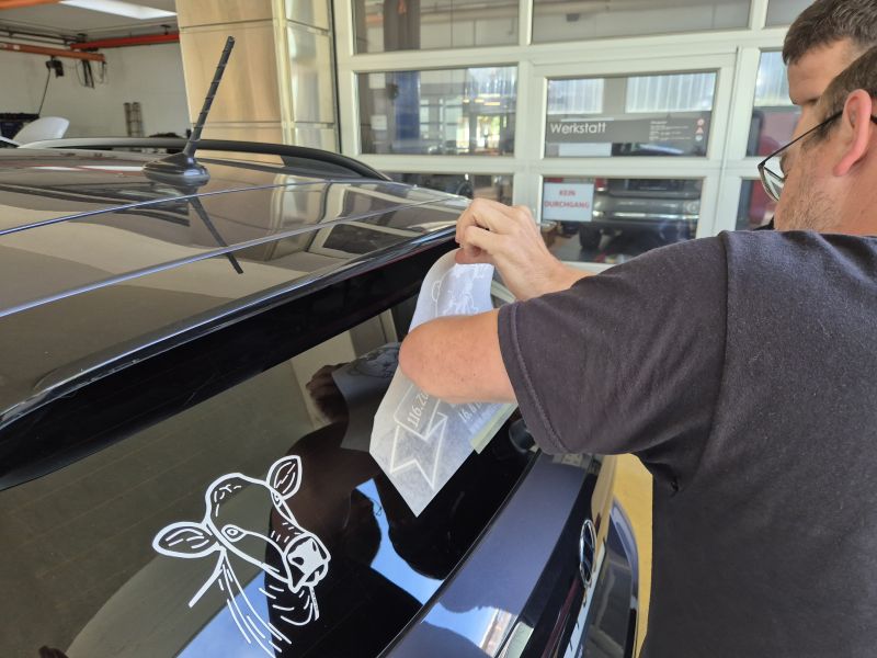 20250920 heckscheibenklebeaktion