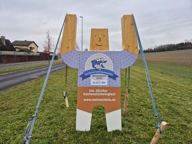 ersten hausi aufstellen