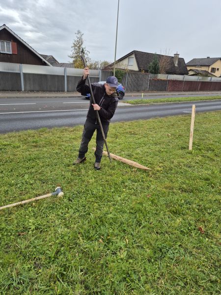 ersten hausi aufstellen
