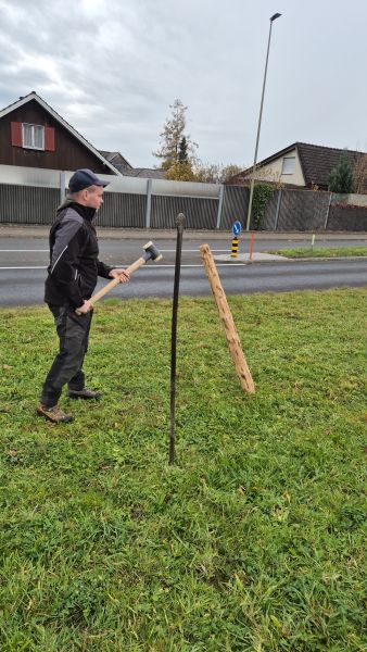 ersten hausi aufstellen