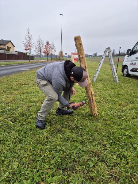 ersten hausi aufstellen
