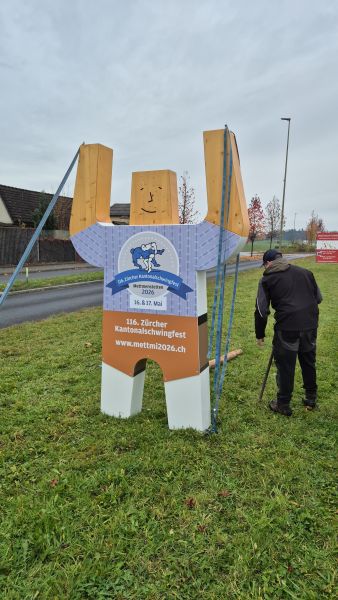 ersten hausi aufstellen