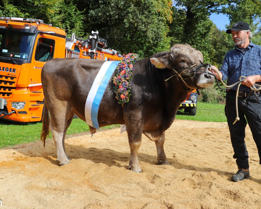 Lebendpreis «Wulli» getauft