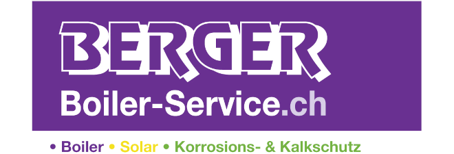 Berger Boiler-Service
