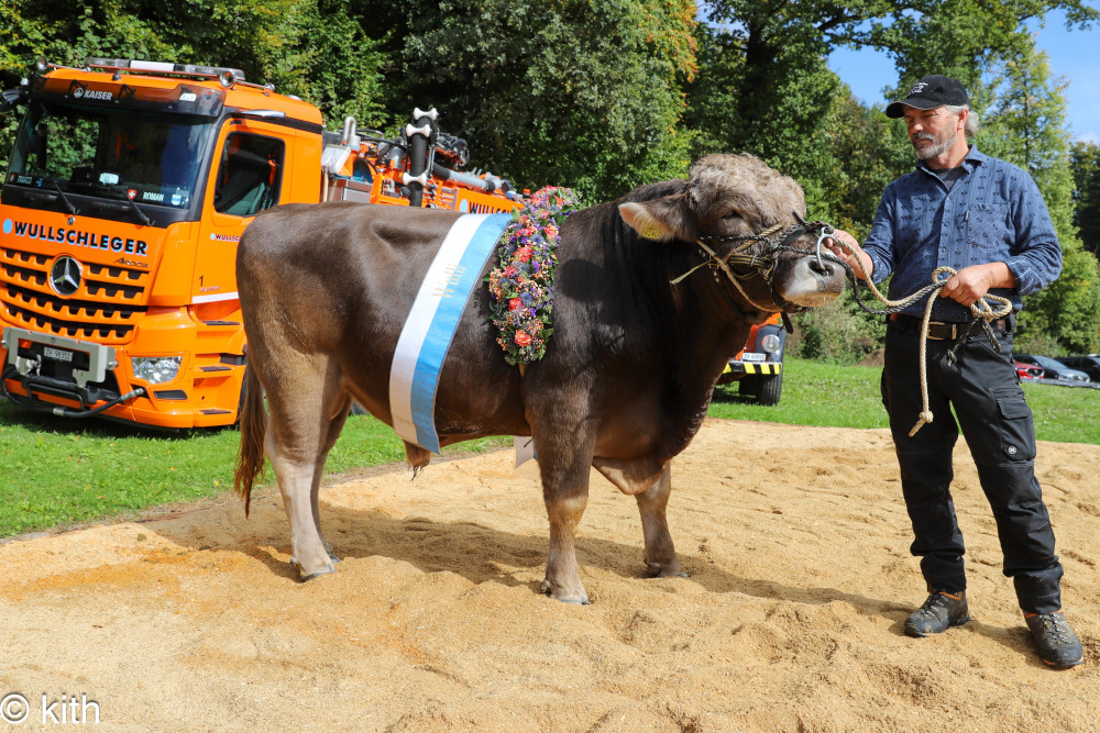 20260130 Bericht mir zMaettmistette Ausgabe 312 bild 01 1000